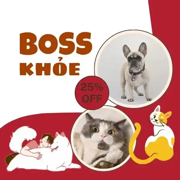 ẢNH SẢN PHẨM 2 - BÉ BỰ PET (1)