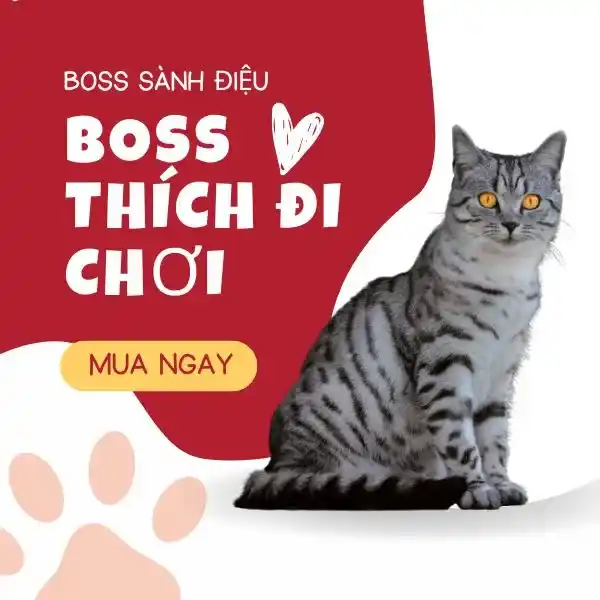 ẢNH SẢN PHẨM 3 - BÉ BỰ PET (1)