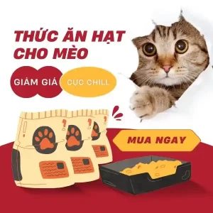 ẢNH SẢN PHẨM - BÉ BỰ PET