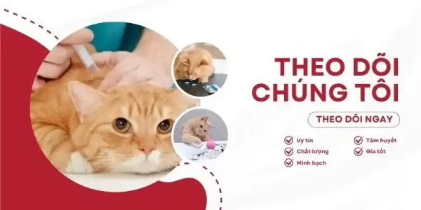 Giới thiệu Bé Bự Pet (1)