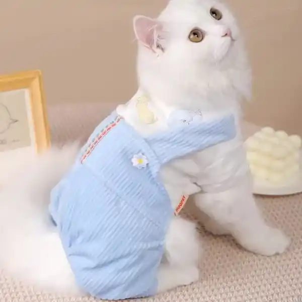 ICON tiền - BÉ BỰ PET (1) (1) (1)