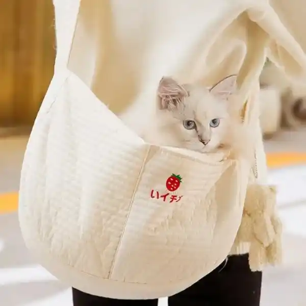 ICON tiền - BÉ BỰ PET (2) (1)