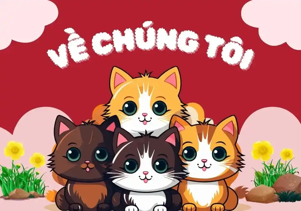 VỀ CHÚNG TÔI (1)