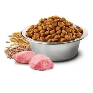 Thức ăn chó mèo Zoi Dog túi 1kg