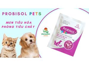 Siêu men bảo vệ tiêu hóa cho thú cưng 100g