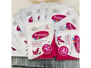 Siêu men bảo vệ tiêu hóa cho thú cưng 100g
