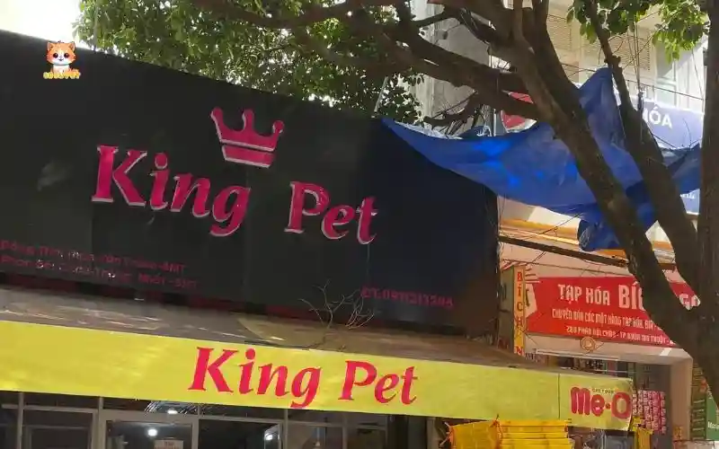 shop thức ăn cho mèo Buôn Ma Thuột