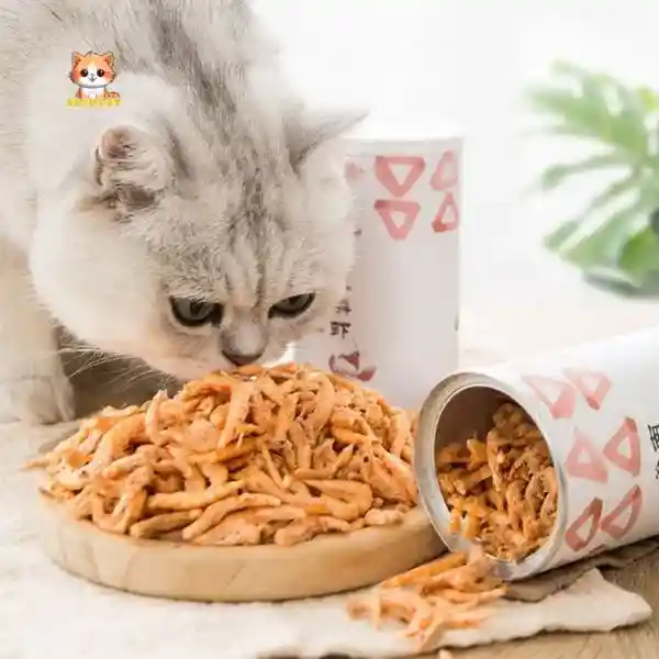 ảnh liên hệ 2 - BÉ BỰ PET (2)